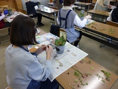多肉植物の寄せ植え教室