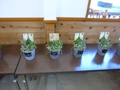 多肉植物の寄せ植え教室
