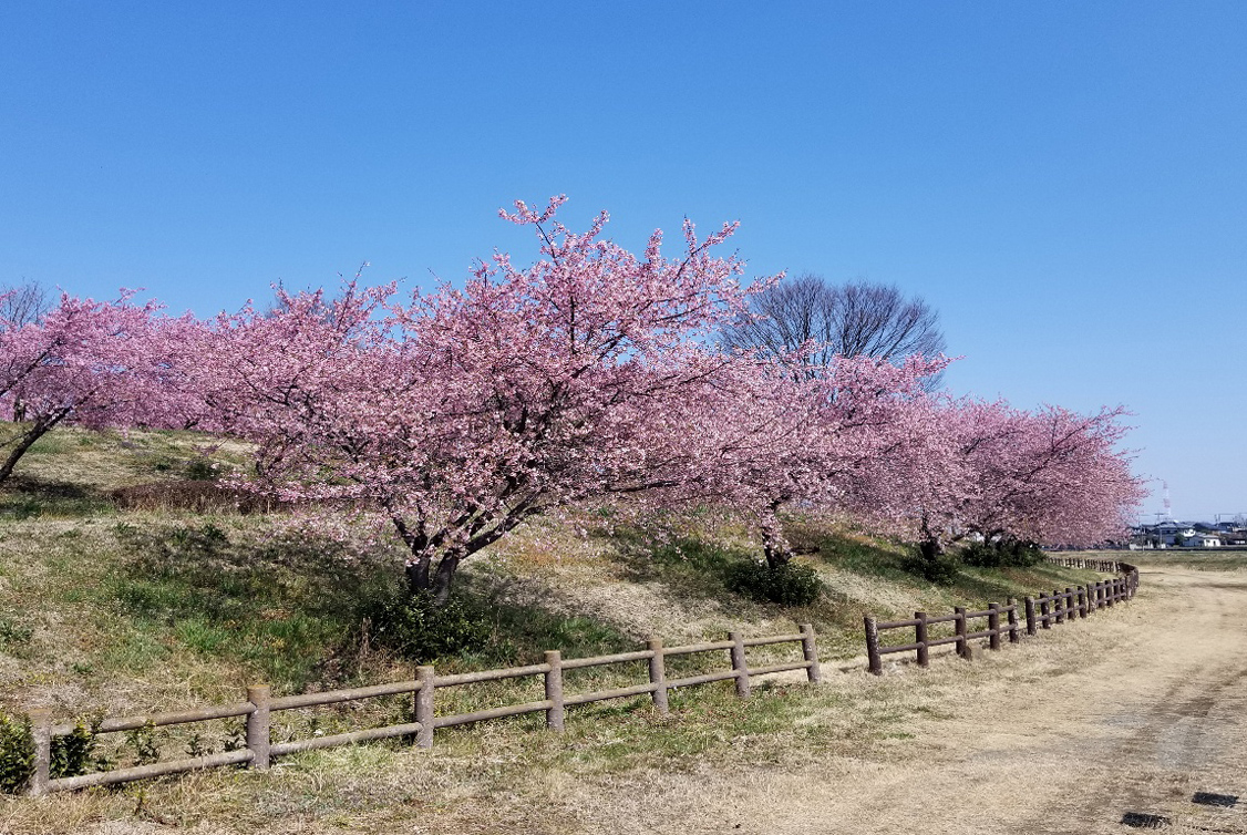 榛の森公園整備促進協議会