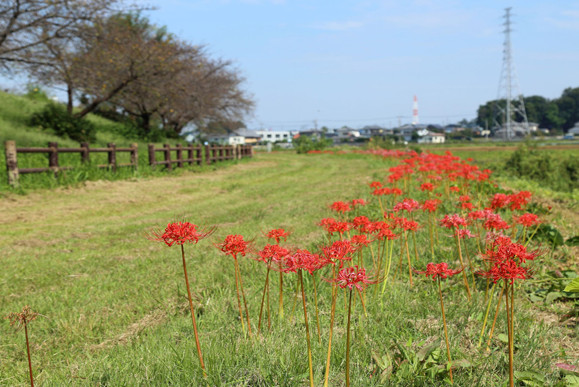 榛の森公園整備促進協議会
