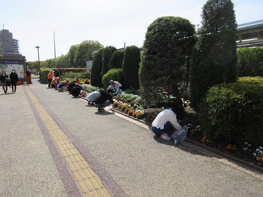 ステイションガーデン除草作業
