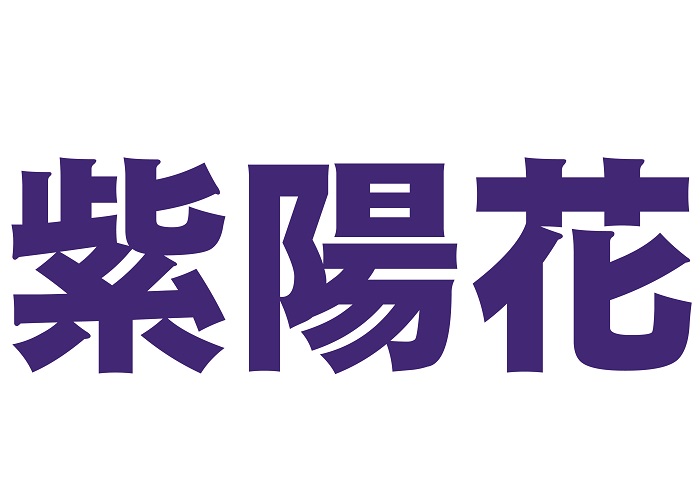 紫陽花