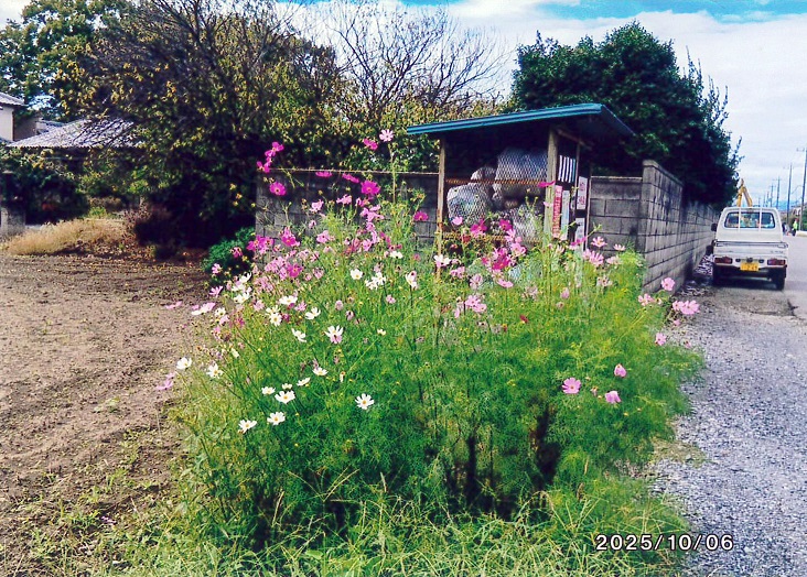 長在家東美守り隊