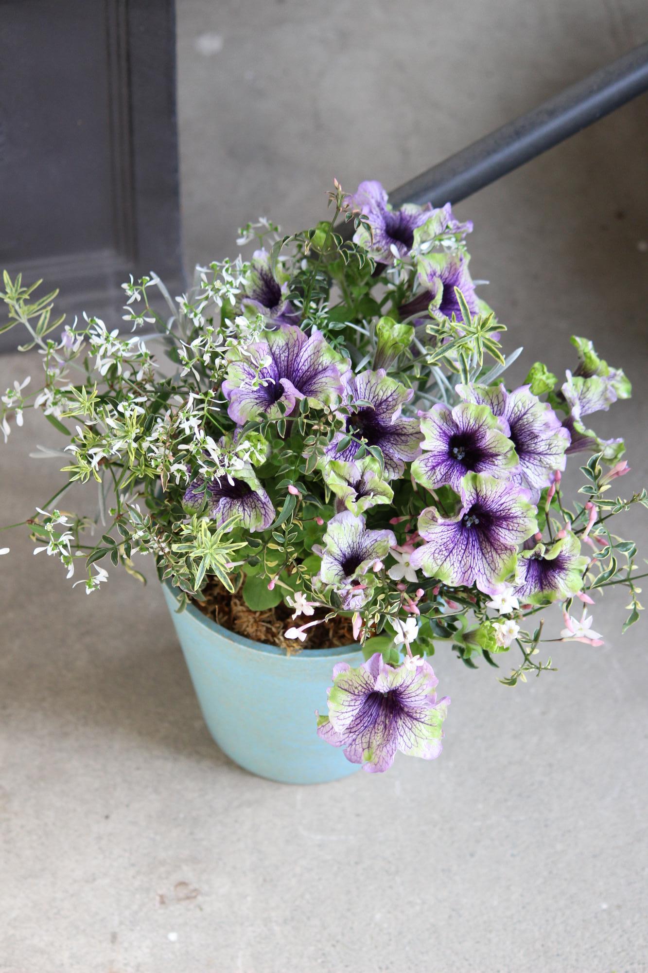 ギャザリング教室