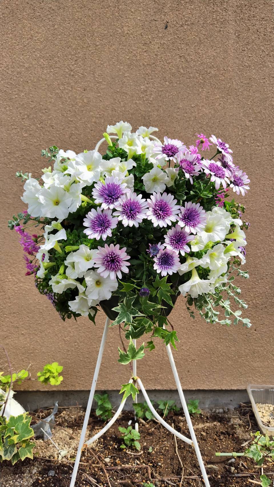 ハンギングバスケット協会