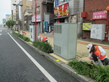 除草&花がら摘み
