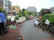 ステイション植栽2