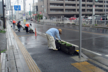 植栽