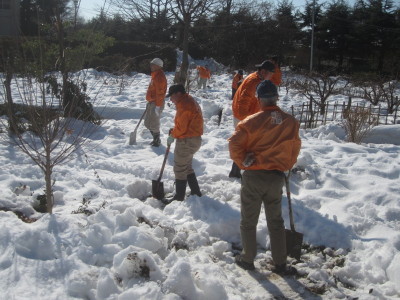 除雪