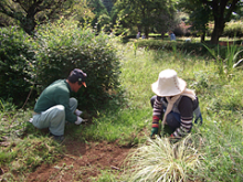 除草作業3