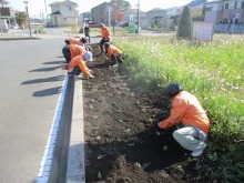花の植栽風景写真
