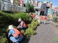 ステイションガーデン除草花摘み