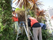 ステイションガーデン除草花摘み