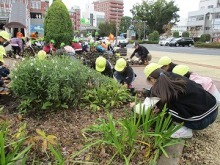 ステイションガーデン植栽