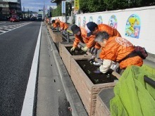 花の植栽風景写真