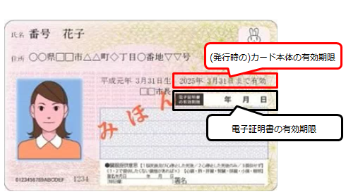 (参考)有効期限の表示イメージ