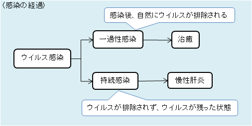 感染の経過