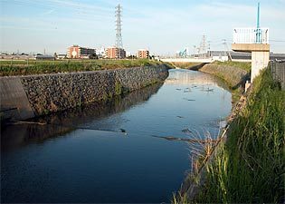 福川を愛する会1