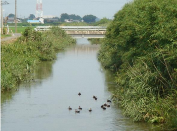 素掘水路