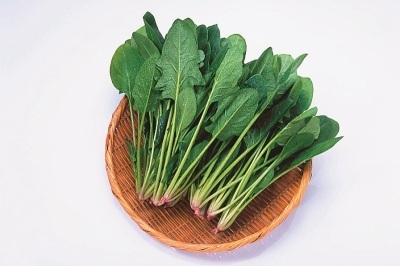 (写真)ほうれん草