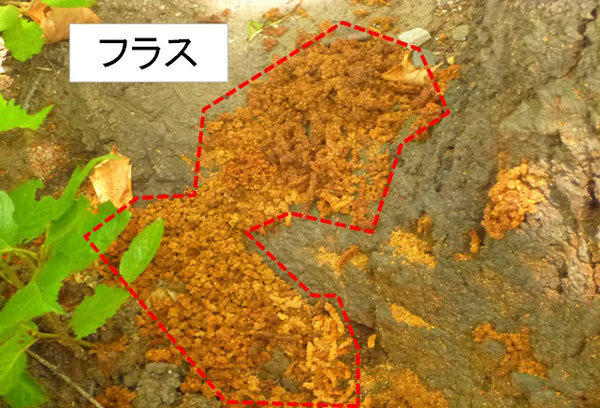フラス1