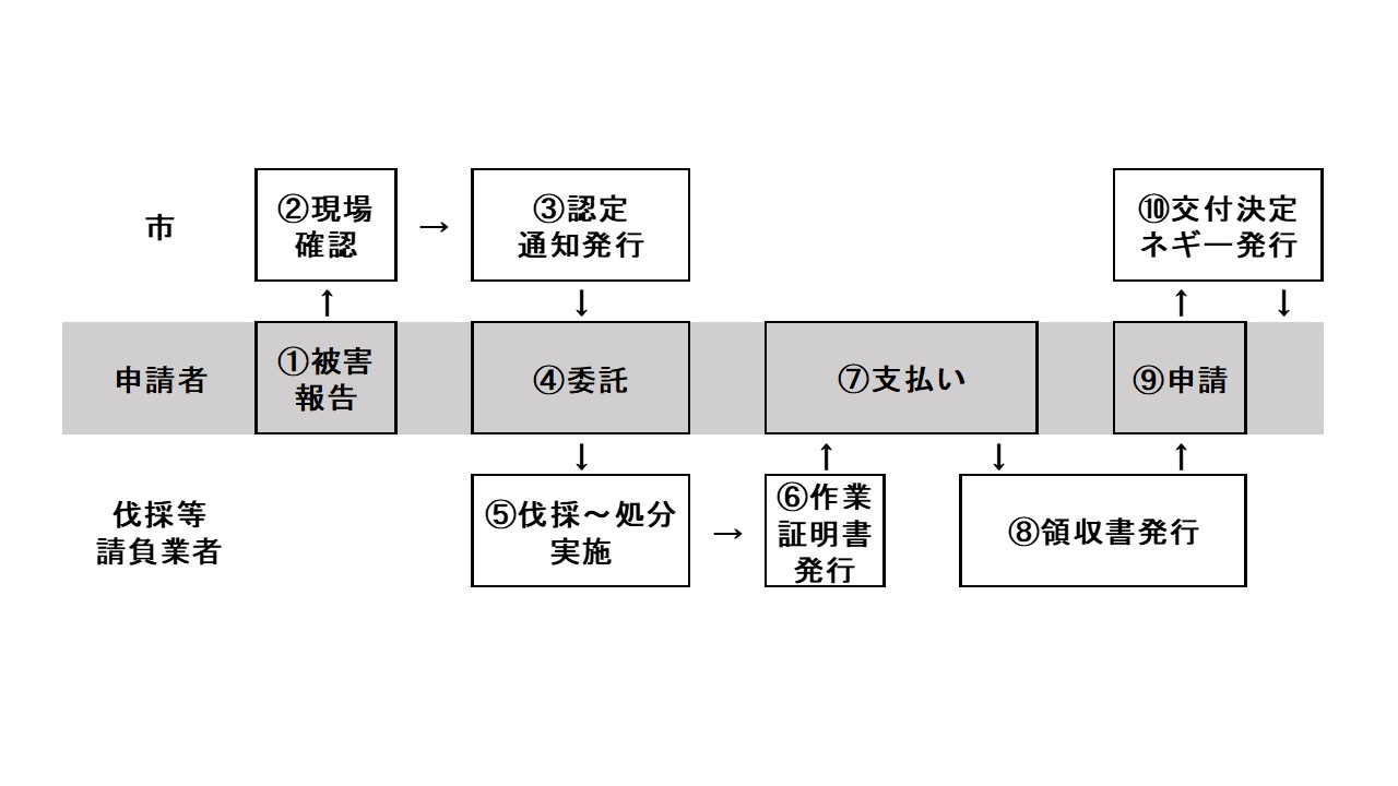 クビアカ補助金手続きの流れ