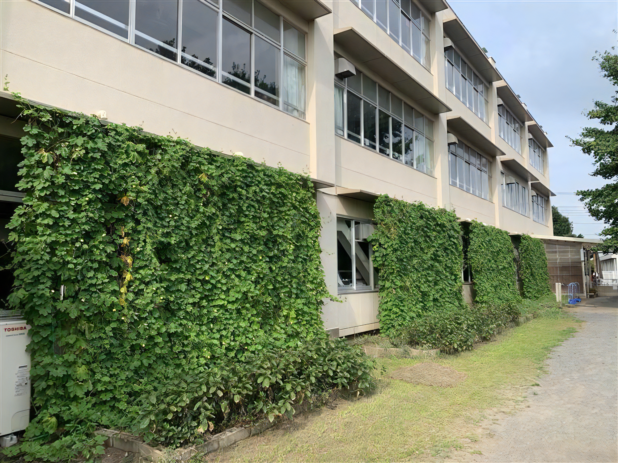 最優秀賞 常盤小学校