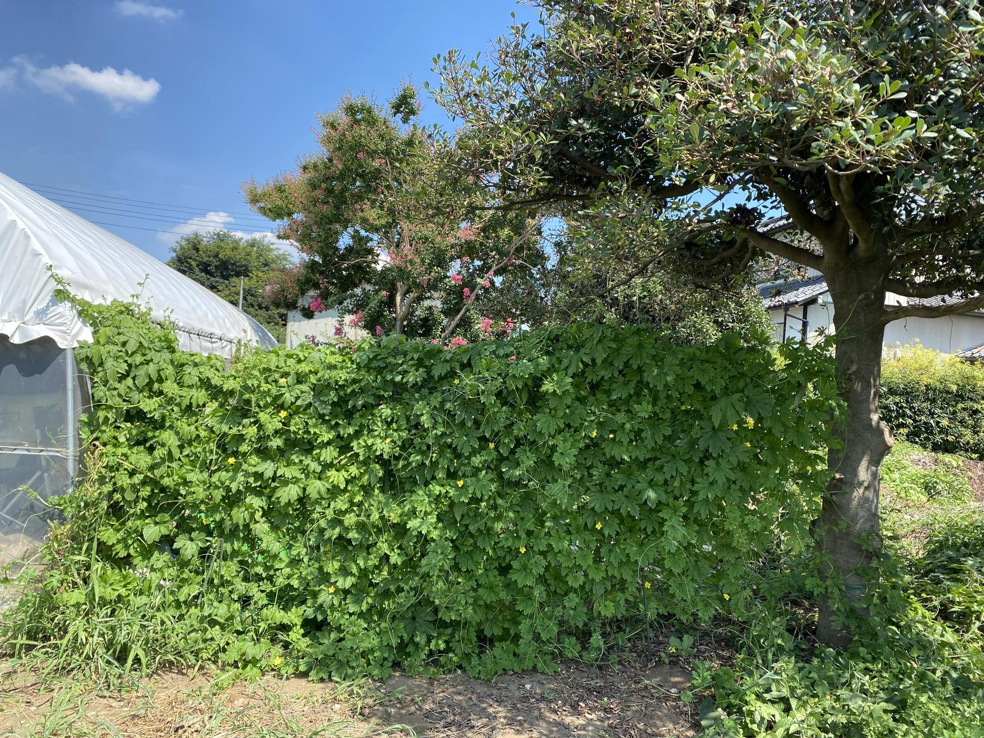 入賞 山崎 敏彦