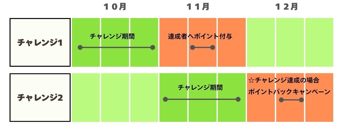 スケジュール