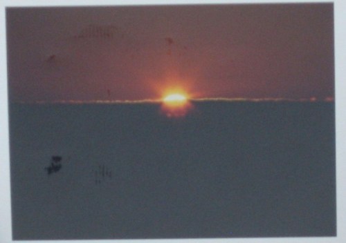 水平線から太陽が昇りかけているところの写真