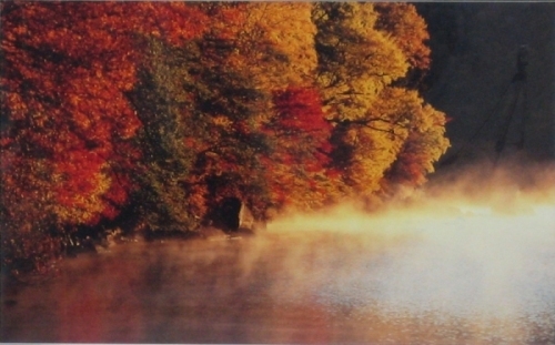 紅葉が美しい湖の写真