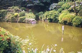 昌福寺庭園の写真