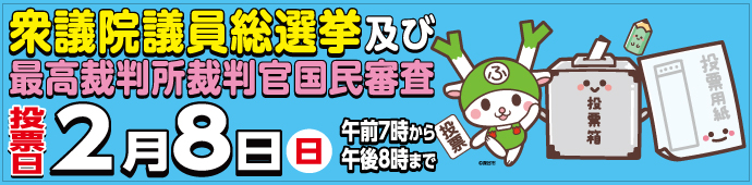衆議院議員総選挙及び最高裁判所裁判官国民審査