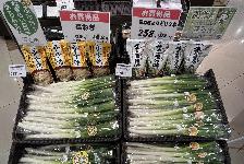 フレッセイ 田谷店