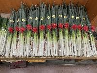 JA花園 農産物直売所