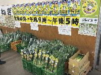 JAふかや 川本農産物直売所