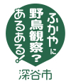 野鳥観察あるある