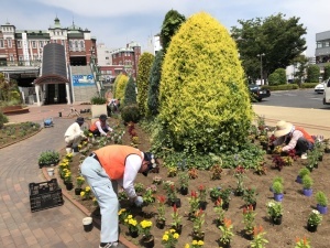 ステイションガーデン植栽