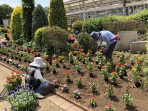 ステイションガーデン植栽