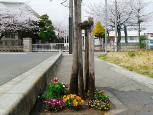 活動の画像