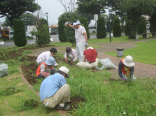 道の駅はなぞの周辺花壇除草3