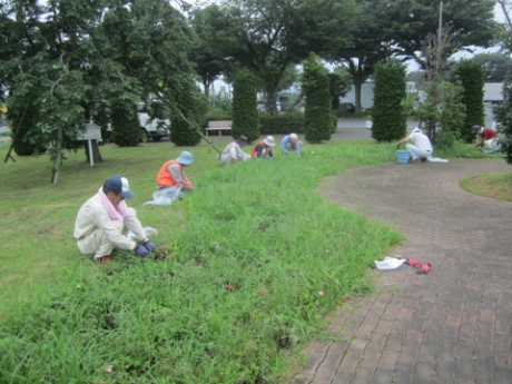 道の駅はなぞの周辺花壇除草1