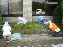 深谷城址公園の除草と花がら摘み2