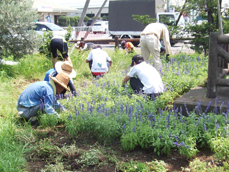 道の駅はなぞの周辺花壇除草1