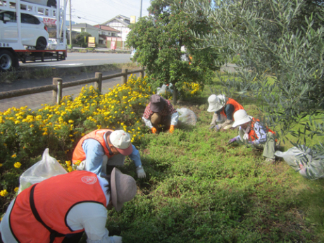 花がら摘み・除草作業1