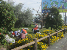 花がら摘み・除草作業2