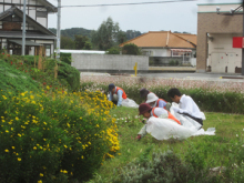 花がら摘み・除草作業3