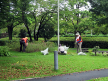 除草＆花がら摘み