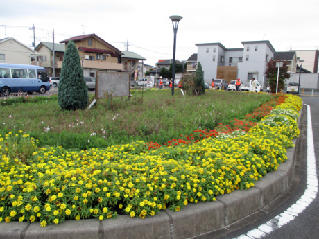 除草＆花がら摘み