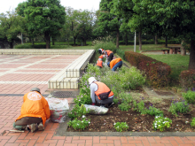 除草＆花がら摘み